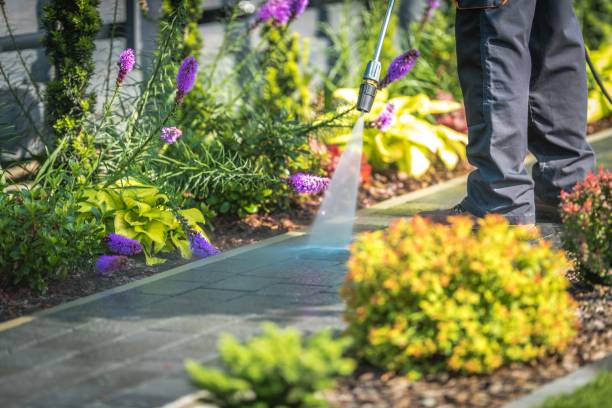 Best Animal Enclosure Cleaning  in Mukilteo, WA