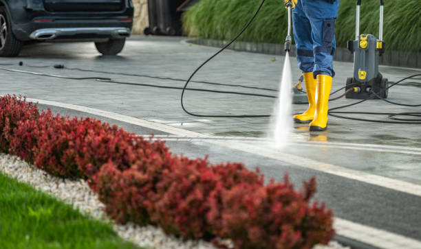 Boat and Dock Cleaning in Mukilteo, WA